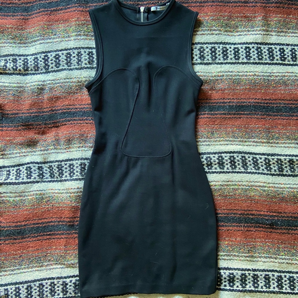 T by Alexander Wang Bodycon Mini Dress